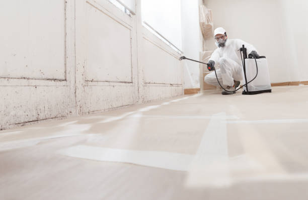 24/7 Emergency Attic Mold Removal experts in Danville, PA